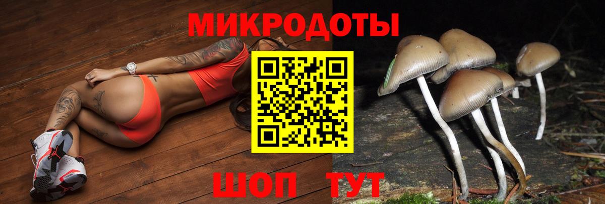 Псилоцибиновые грибы мицелий Батайск